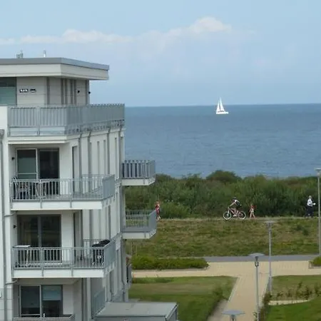 Sanddorn -
