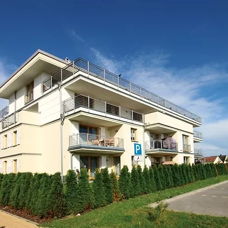 Sanddorn -